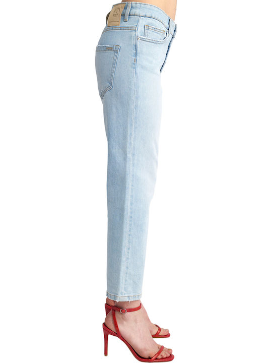 Pant