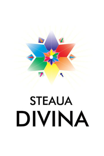 Натурален Студено Пресован Сироп От Черна Бъз 250мл Steaua Divina