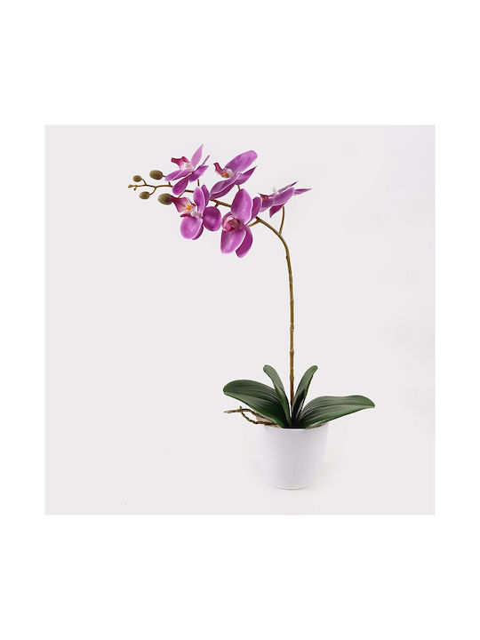 Decorative Potted Plant Orchid Beauty Inart 30x13x46cm
