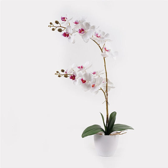Διακοσμητικό Φυτό Γλάστρα Οrchid White Inart 36x17x65εκ