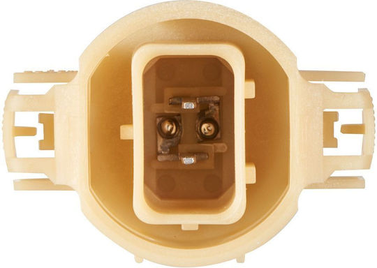 Bulb Rear Fog Lamp Bosch 1 987 302 266
