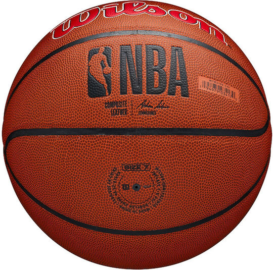 Wilson Team Alliance Bskt Basket Ball