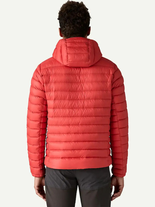 Patagonia