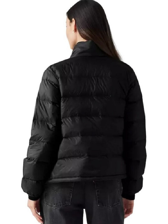 Polly Packable Down