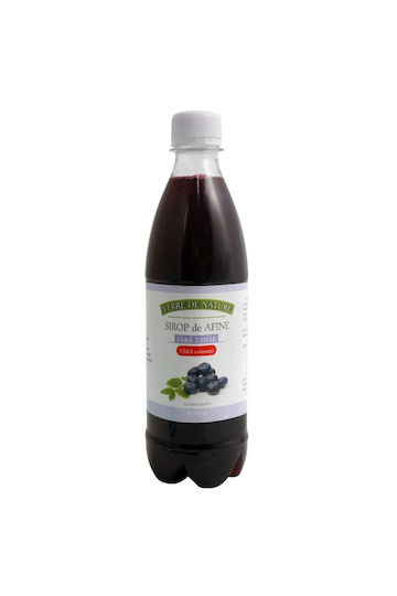Sugar-free Blueberry Syrup 500 Ml Manicos