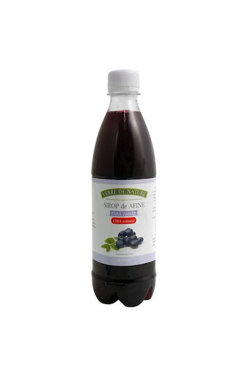 Sugar-free Blueberry Syrup 500 Ml Manicos