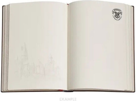Paperblanks Notebook with Elastic Multicolour