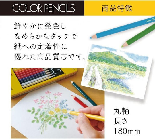 Tombow 36 Color Pencils Cb-nq 36c 4901991016307