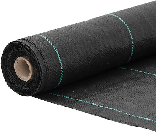 vidaXL 313068 Ύφασμα Εδαφοκάλυψης 60gr/m² 2x100m Μαύρο
