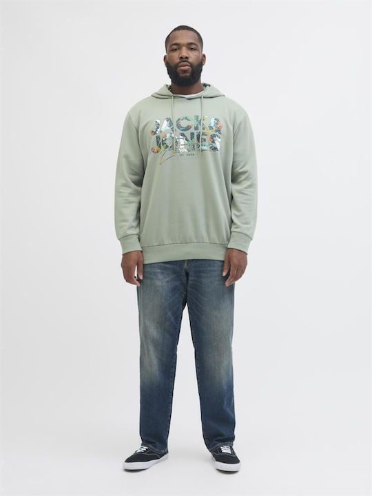 Sweat Sweatshirt mit Kapuze Iceberg