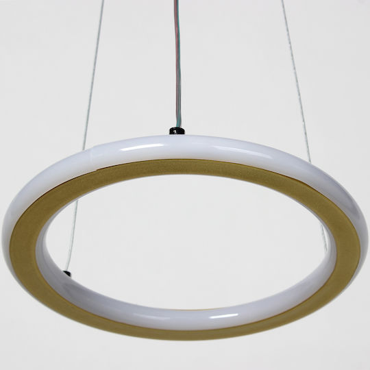 Keskor Pendant Light Gold 21x21x80cm