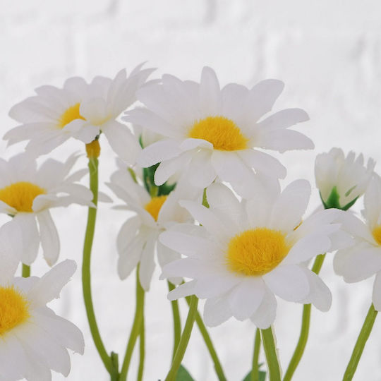 Μαργαριτα Daisy Γλαστρα H28cm