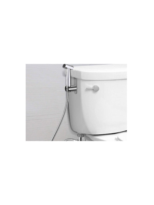 Bidet Sprayer Silver