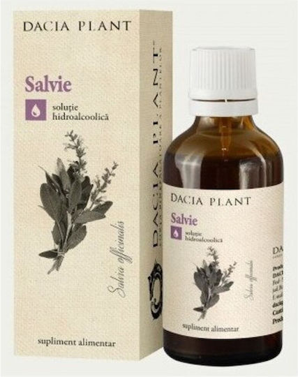 Tinctură Salvie Recomandată Pentru Funcționarea Normală a Sistemului Digestiv 50 Ml Dacia Plant