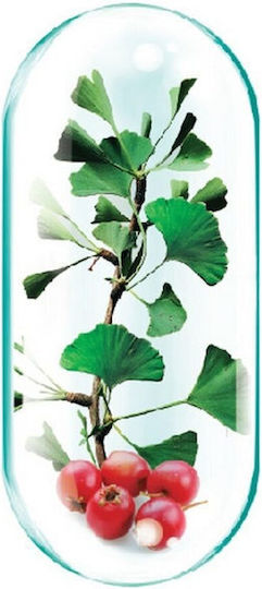 Ginkgo Biloba 60mg Rotta Natura 30 Capsule