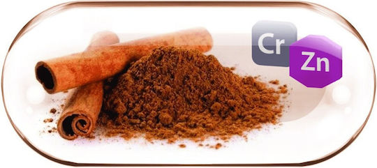 Extract de Scorțișoară Scorțișoară + Crom Zinc Rotta Natura 90 Capsule