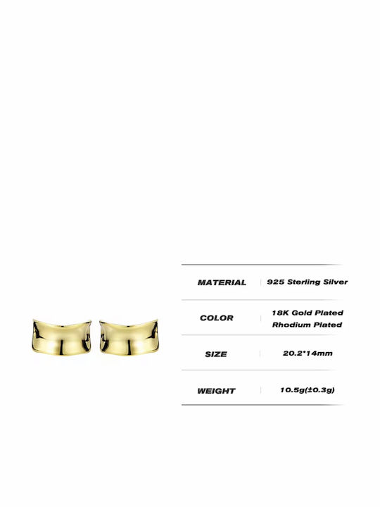 Earrings made of Silver Gold Plated