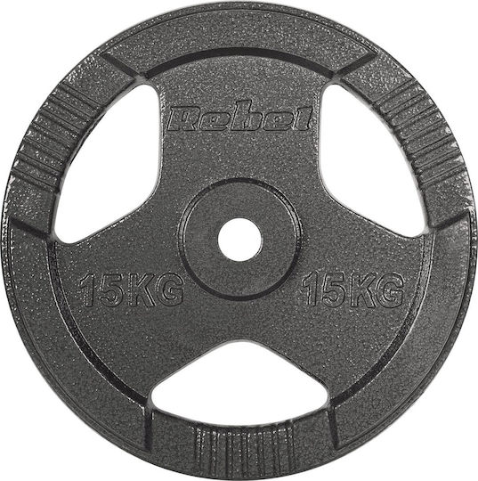 Scheibenset Metall 2 x 15kg Ø31mm mit Griffen