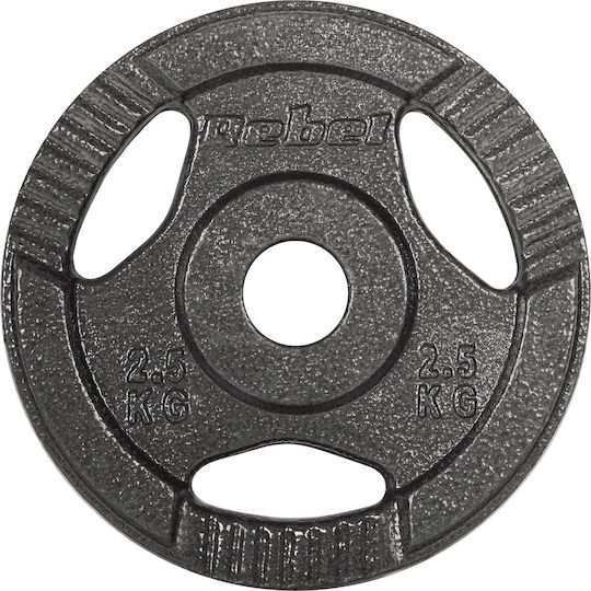 Set of Plates Metal 4 x 2.5kg Ø31mm with Handles