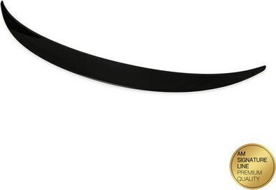 Mtuning Lotka Buza Spoiler Aspect Carbon BMW X6 E71 E72 2007-2014