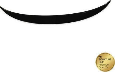 Mtuning Lotka Buza Spoiler Aspect Carbon BMW X6 E71 E72 2007-2014