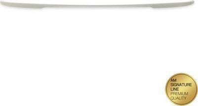 ProRacing Lip Spoiler BMW Serie 3 F30 2011-2018