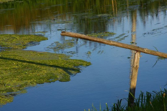 Seagull Έγχρωμo Φίλτρo Διαμέτρου 37mm για Φωτογραφικούς Φακούς