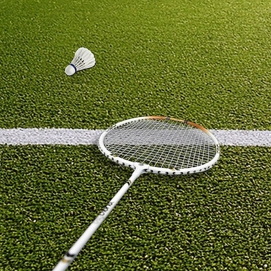 Enero Ρακέτα Badminton