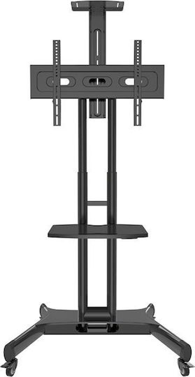 Hagor HP Twin Stand Βάση Τηλεόρασης Δαπέδου έως 55" και 50kg