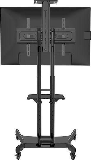 Hagor HP Twin Stand Βάση Τηλεόρασης Δαπέδου έως 55" και 50kg