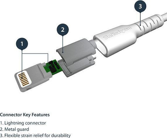 StarTech USB to Lightning Cable Λευκό 2m (RUSBLTMM2M)