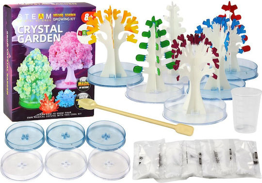 Educational Kit Crystal Tree Growing Experience