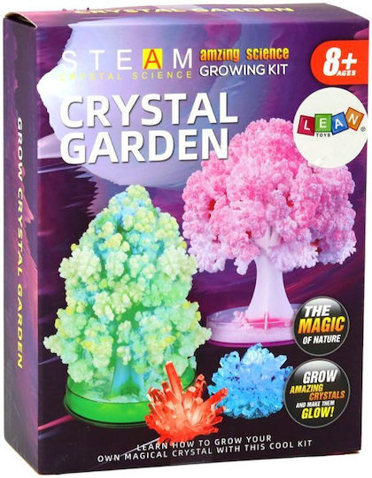 Educational Kit Crystal Tree Growing Experience