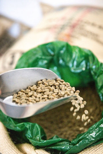 Coffee Plant Espresso Kaffee Gemahlen 1kg