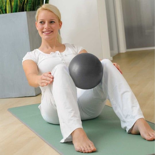 Sissel Mini Μπάλα Pilates 26cm