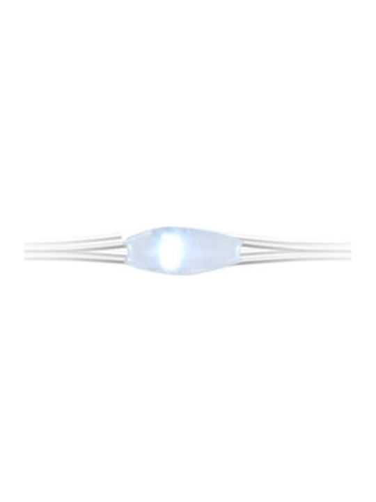 Λαμπάκια LED Λευκά Μπαταρίας σε Σειρά