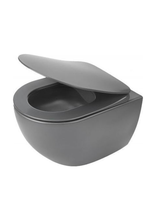 Deante Bidet Plastic Toilet Slim Seat Gray