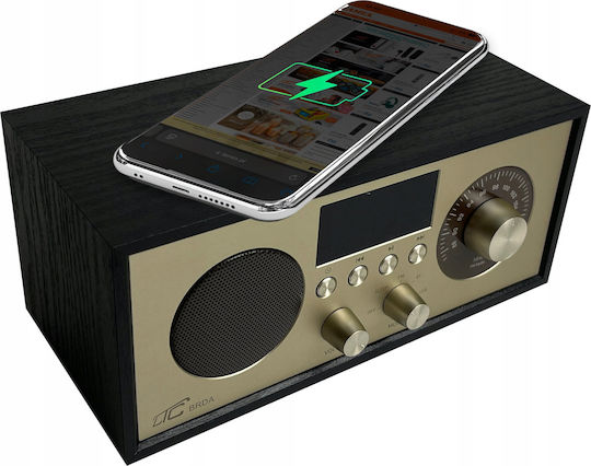 LTC Audio BRDA Cu alimentare la rețea cu Bluetooth și USB Negru