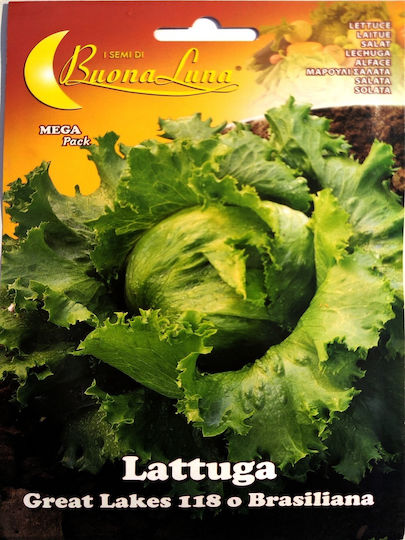 Great Lakes Natura Lettuce Head Salad Seed