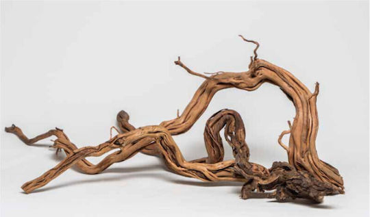 Curl Wooden 14