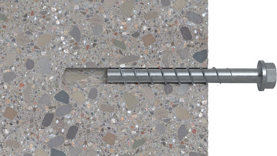 Fischer Technik Șurub cu Diametru M14 și Lungime 210mm 10buc