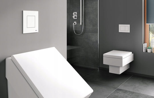 Tece Flush Plate Dual Flush