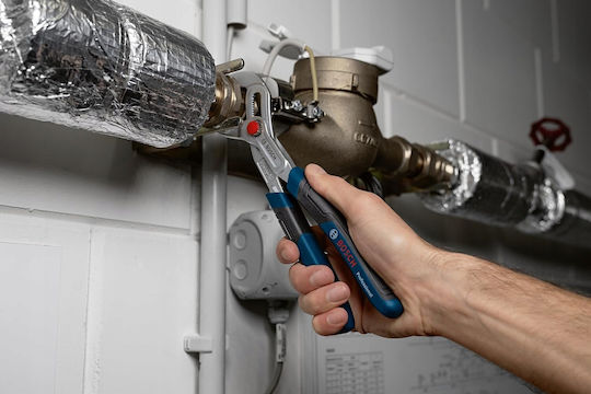 Bosch Γκαζοτανάλια 250mm