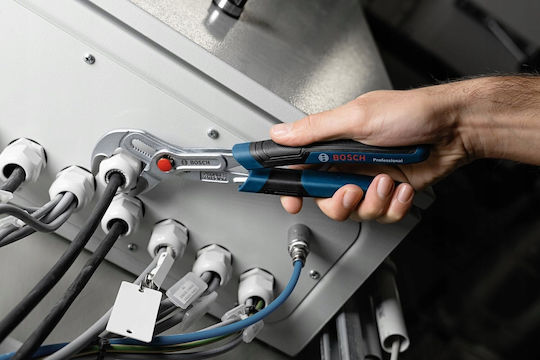 Bosch Γκαζοτανάλια 250mm