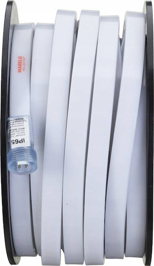 Mareld Bandă LED 24V roz Lumină 1m Tip SMD2835