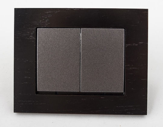 Black Xp500 Switch P510-020-12 V