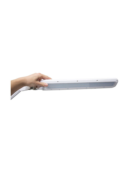 Maul LED Schreibtischlampe in Weiß Farbe