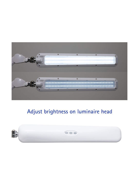 Maul LED Schreibtischlampe in Weiß Farbe