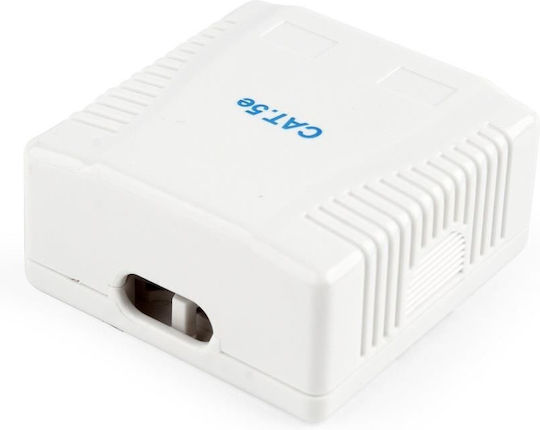 Gembird Doppelter Netzsteckdose RJ45 mit Rahmen Typ Cat5 in Weiß Farbe NCAC-2F5E-01