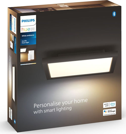 Philips Εξωτερικό LED Panel 19W 30x30εκ.